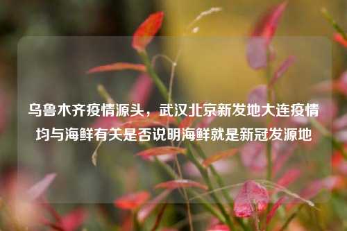 乌鲁木齐疫情源头,武汉北京新发地大连疫情均与海鲜有关是否说明海鲜就是新冠发源地