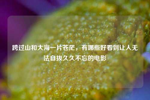 跨过山和大海一片苍茫，有哪些好看到让人无法自拔久久不忘的电影