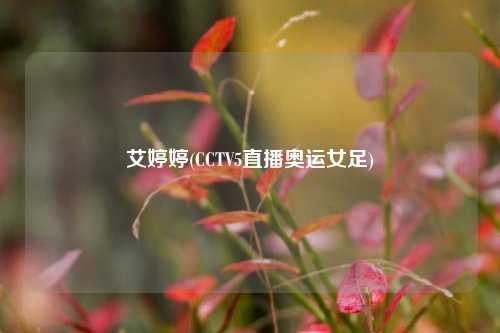 艾婷婷(CCTV5直播奥运女足)
