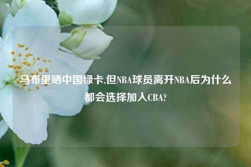 马布里晒中国绿卡,但NBA球员离开NBA后为什么都会选择加入CBA?