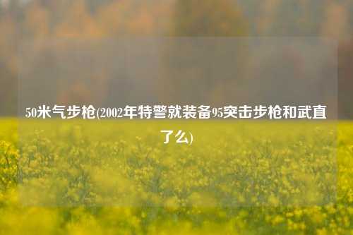 50米气步枪(2002年特警就装备95突击步枪和武直了么)