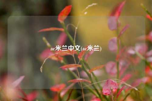 ac米兰中文(ac米兰)