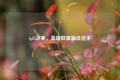 ipl5决赛,英雄联盟最佳选手