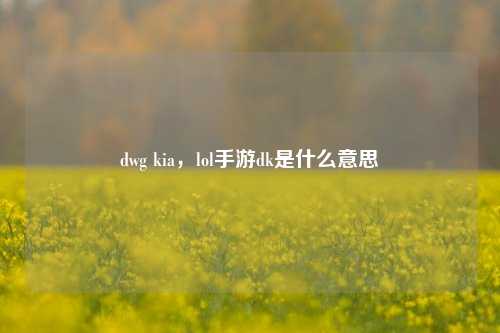 dwg kia，lol手游dk是什么意思