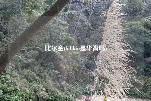 比尔金(billkin是华裔吗)