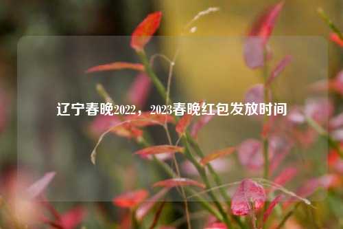 辽宁春晚2022,2023春晚红包发放时间