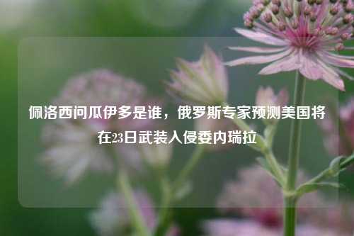 佩洛西问瓜伊多是谁,俄罗斯专家预测美国将在23日武装入侵委内瑞拉