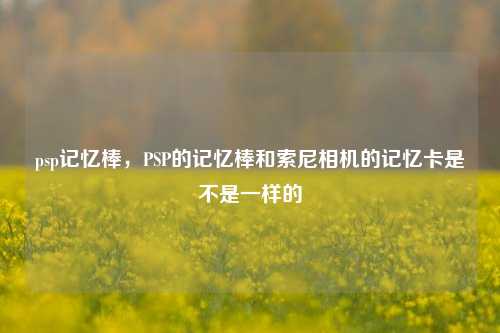 psp记忆棒,PSP的记忆棒和索尼相机的记忆卡是不是一样的