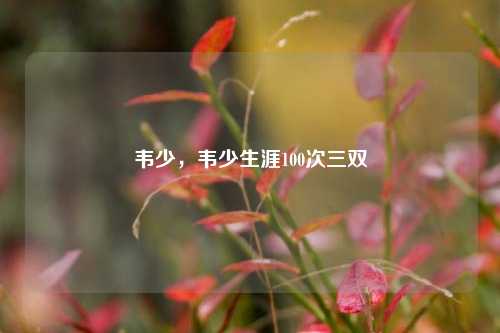 韦少，韦少生涯100次三双