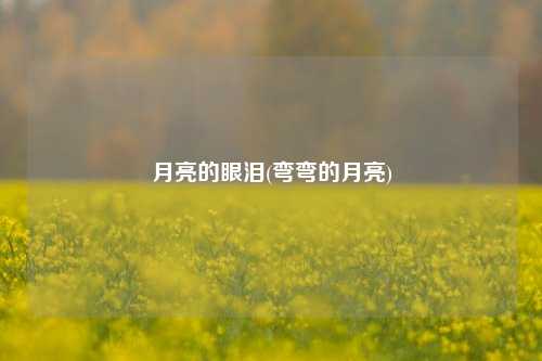 月亮的眼泪(弯弯的月亮)