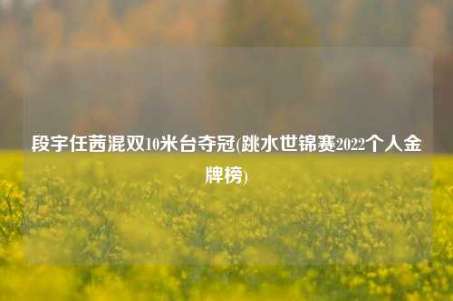 段宇任茜混双10米台夺冠(跳水世锦赛2022个人金牌榜)
