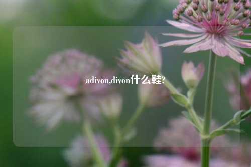 adivon,divon什么鞋?