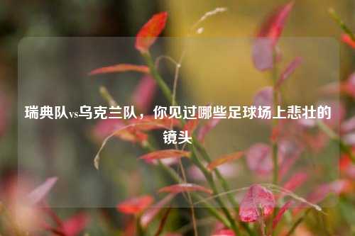 瑞典队vs乌克兰队，你见过哪些足球场上悲壮的镜头