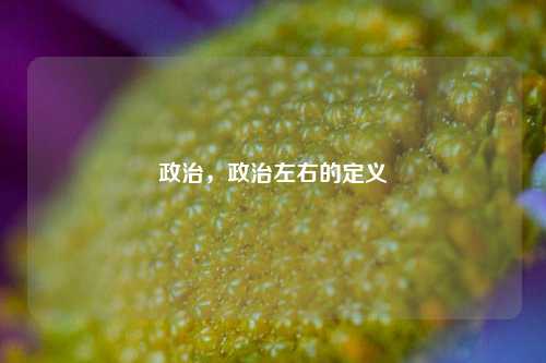 政治，政治左右的定义