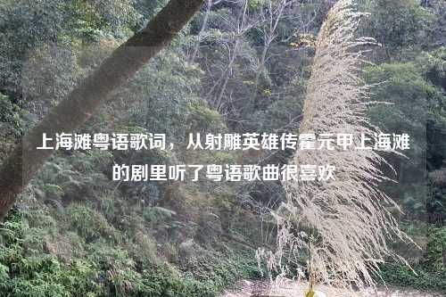 上海滩粤语歌词,从射雕英雄传霍元甲上海滩的剧里听了粤语歌曲很喜欢