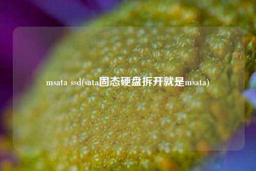 msata ssd(sata固态硬盘拆开就是msata)