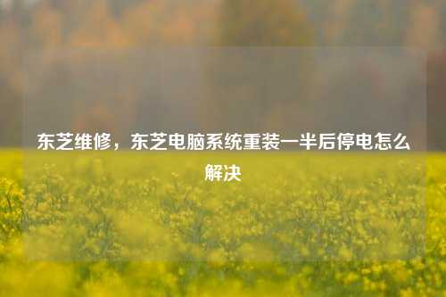 东芝维修,东芝电脑系统重装一半后停电怎么解决