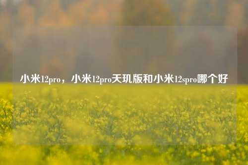 小米12pro，小米12pro天玑版和小米12spro哪个好