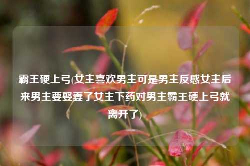 霸王硬上弓(女主喜欢男主可是男主反感女主后来男主要娶妻了女主下药对男主霸王硬上弓就离开了)