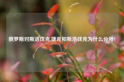俄罗斯对斯洛伐克,捷克和斯洛伐克为什么分开?