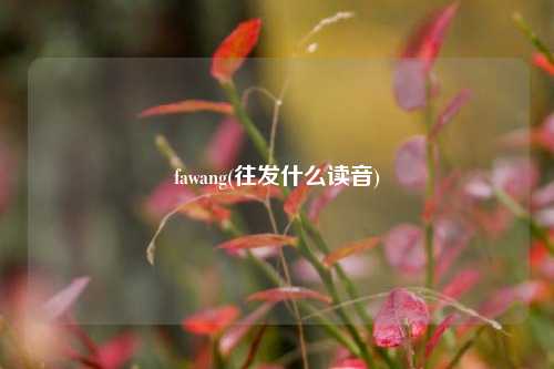 fawang(往发什么读音)