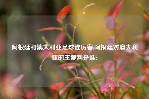 阿根廷和澳大利亚足球谁厉害,阿根廷对澳大利亚的主裁判是谁?