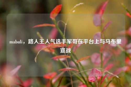 mabuli，路人王人气选手军哥在平台上与马布里宣战