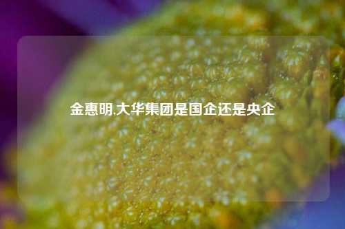 金惠明,大华集团是国企还是央企