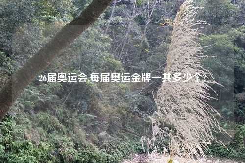 26届奥运会,每届奥运金牌一共多少个?