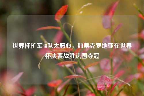 世界杯扩军48队太恶心,如果克罗地亚在世界杯决赛战胜法国夺冠