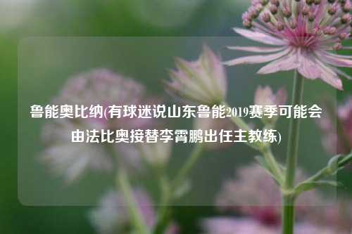 鲁能奥比纳(有球迷说山东鲁能2019赛季可能会由法比奥接替李霄鹏出任主教练)