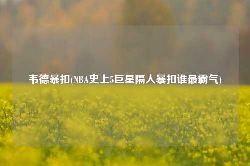 韦德暴扣(NBA史上5巨星隔人暴扣谁最霸气)