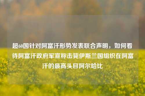 超60国针对阿富汗形势发表联合声明,如何看待阿富汗政府军宣称击毙伊斯兰国组织在阿富汗的最高头目阿尔哈比