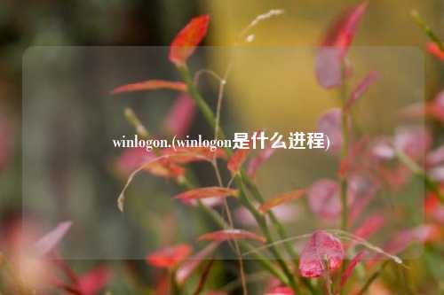 winlogon.(winlogon是什么进程)