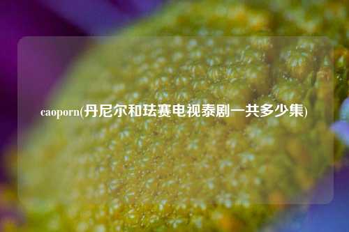 caoporn(丹尼尔和珐赛电视泰剧一共多少集)