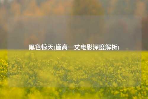 黑色惊天(道高一丈电影深度解析)