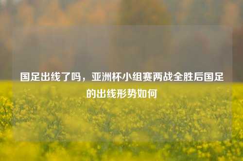 国足出线了吗,亚洲杯小组赛两战全胜后国足的出线形势如何