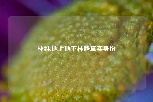 林维,地上地下林静真实身份