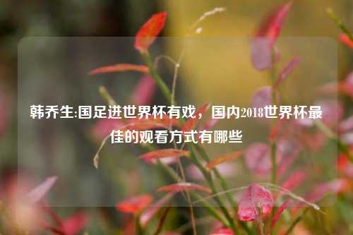 韩乔生:国足进世界杯有戏,国内2018世界杯最佳的观看方式有哪些