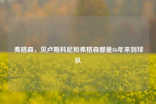 弗格森,贝卢斯科尼和弗格森都是86年来到球队