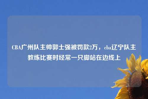 CBA广州队主帅郭士强被罚款2万,cba辽宁队主教练比赛时经常一只脚站在边线上