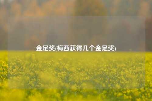 金足奖(梅西获得几个金足奖)