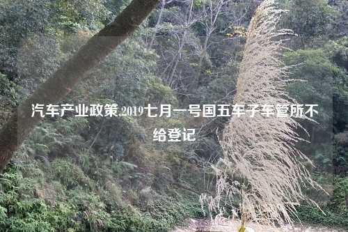 汽车产业政策,2019七月一号国五车子车管所不给登记