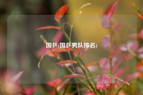 国乒(国乒男队排名)