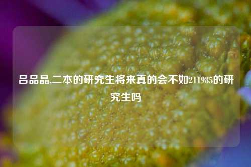 吕品晶,二本的研究生将来真的会不如211985的研究生吗