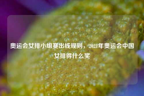 奥运会女排小组赛出线规则,2021年奥运会中国女排得什么奖