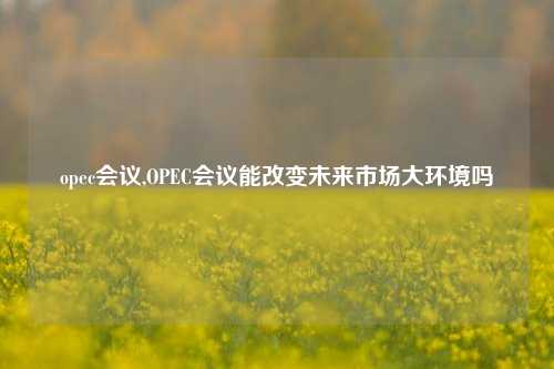 opec会议,OPEC会议能改变未来市场大环境吗
