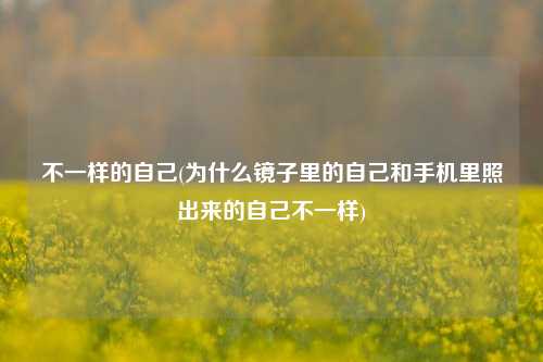 不一样的自己(为什么镜子里的自己和手机里照出来的自己不一样)