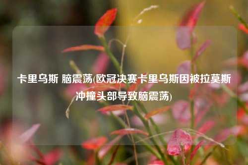 卡里乌斯 脑震荡(欧冠决赛卡里乌斯因被拉莫斯冲撞头部导致脑震荡)