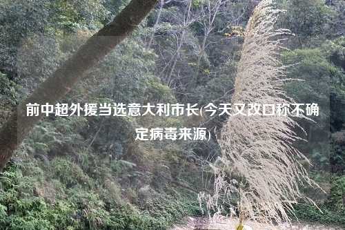 前中超外援当选意大利市长(今天又改口称不确定病毒来源)